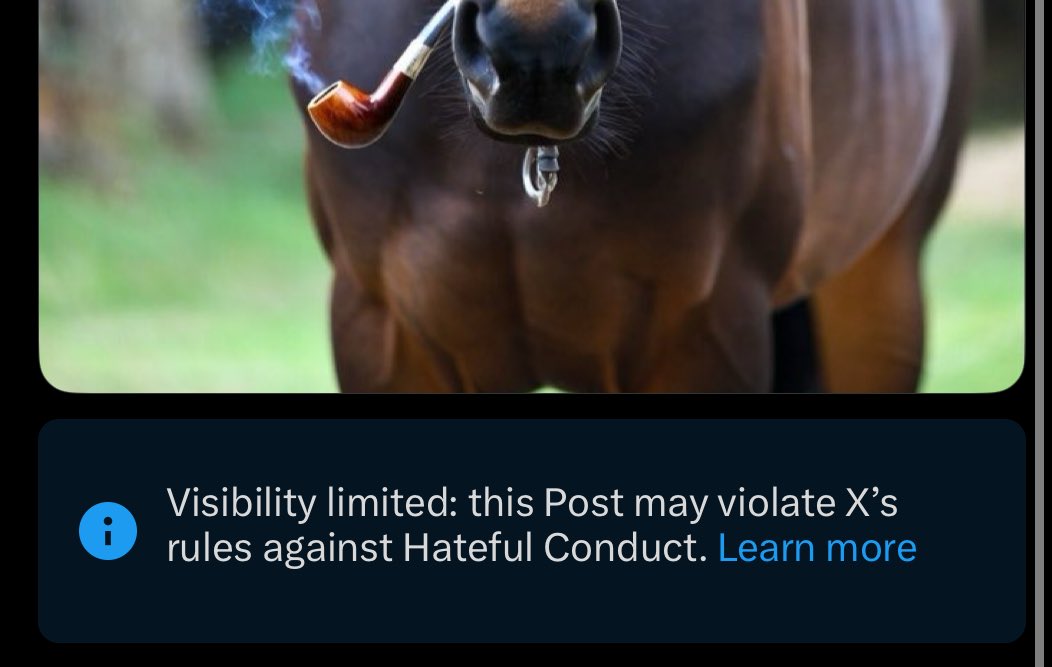 YammyLand's tweet image. this place is a jew prison