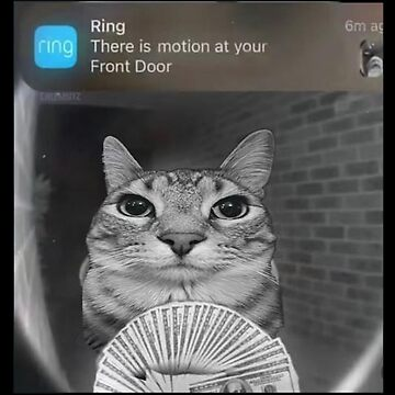 wagers 
twitch.tv/ttvkampo