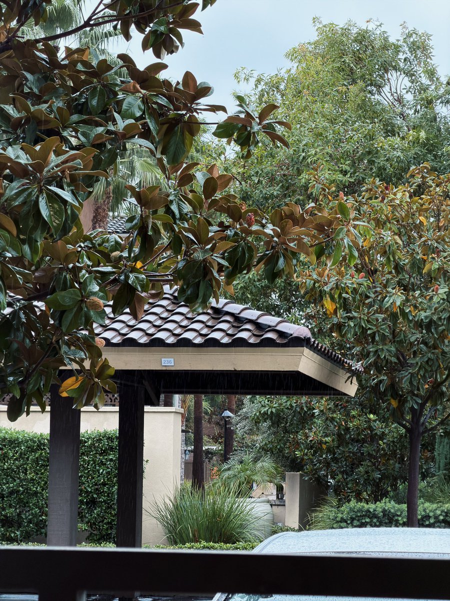 Calitopen tweet media