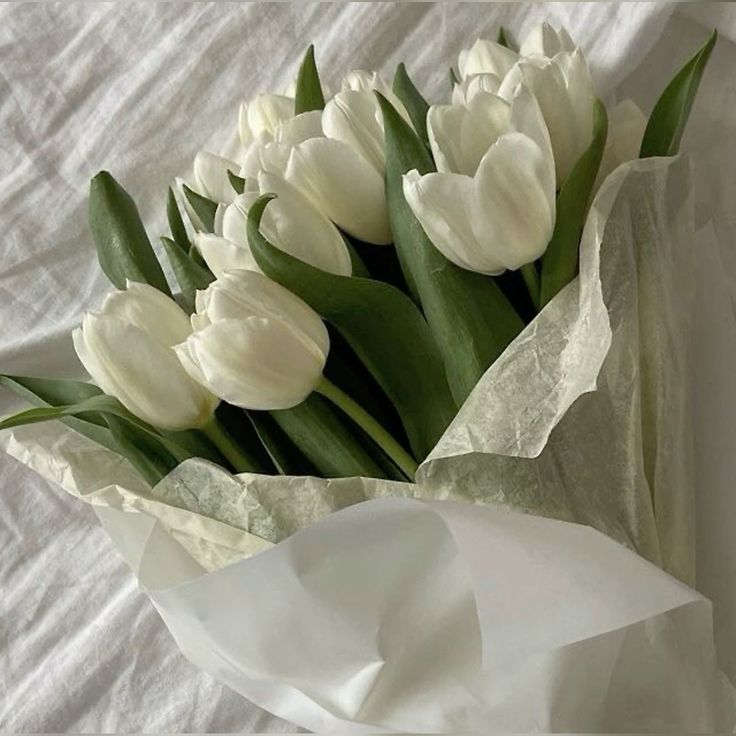 eclipsiable's tweet image. 𝐹lowers to my 𝑓avorite 𝚋oy ♡💐 𝚈 es que, desde que me enteré sobre 𝕥he #αsph𝕪xꕀ𝚛u𝕝ǝs, 𝑓ui corriendo por el mejor ramo de 𝑓lores para mi 𝑙indo ꒰ #𝙺ot𝕚e ☆ 𝚙ara mi, el rey de todos. 𝚂♡, 𝕚ʼm into #𝚜oc𝕚alのan𝕥iーc𝕝ub.

𝑐hǝrr𝕪 ꒰ #𝑚o͡onʼ𝑠 ꒱ ✺ 𓈒 ࿓ 𝑝onyo.