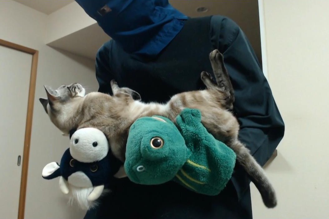 どこを見てるのかな？