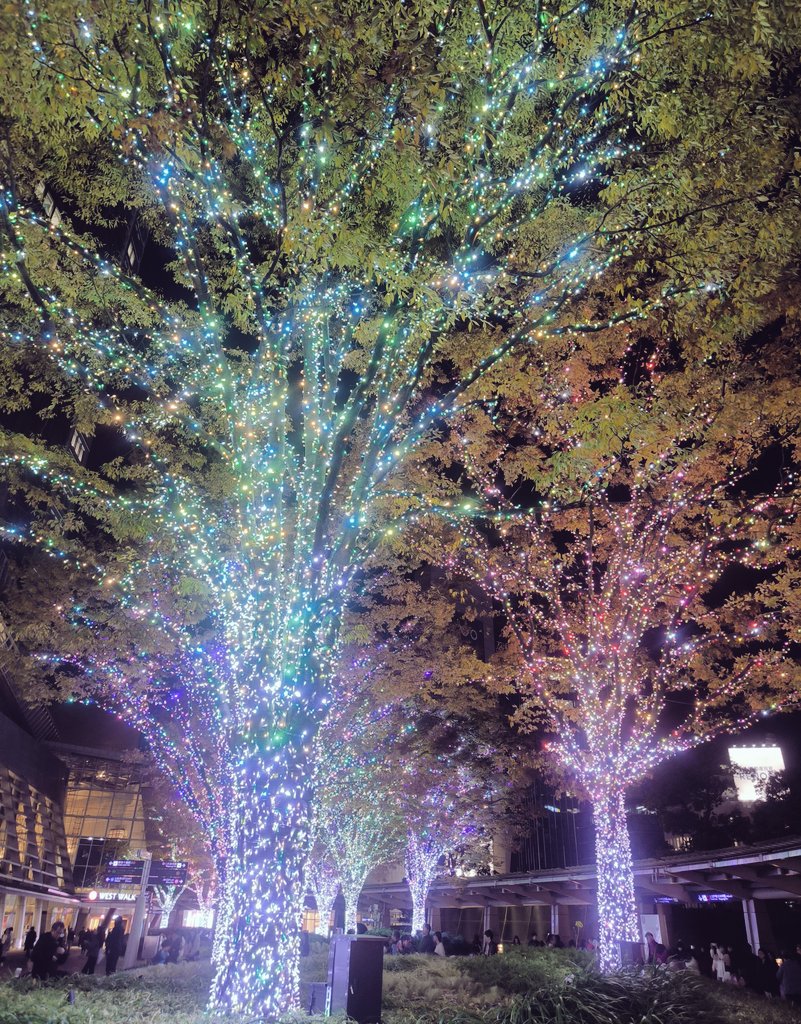 sysadgroup's tweet image. おはようございます🍛
今日は気温がぐっと低くなり朝からひんやりした空気が漂っています🩵
#企業公式秋のフォロー祭り
#企業公式相互フォロー
#企業公式が朝の挨拶を言い合う
#企業公式が毎朝地元の天気を言い合う
#企業公式さんと繋がりたい…