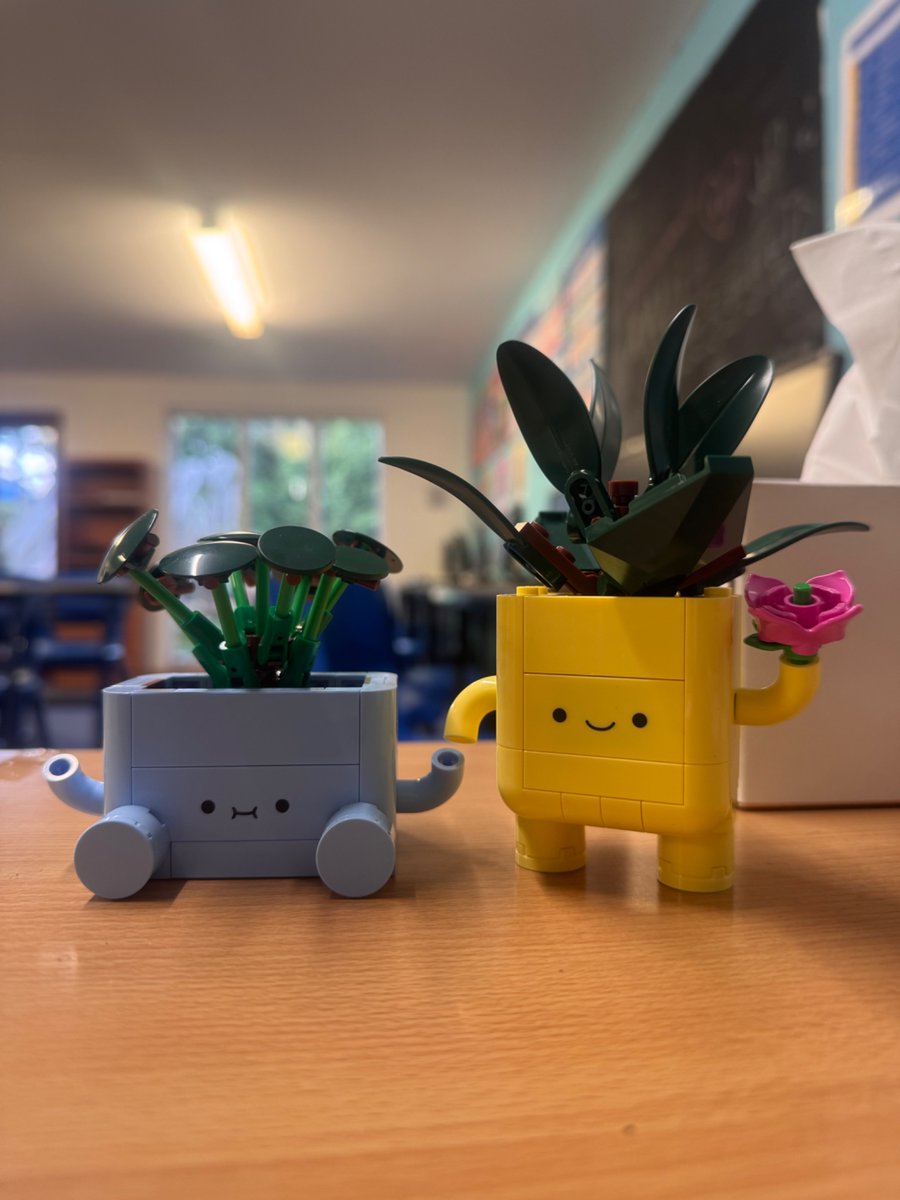 misymma's tweet photo. so these babies are definitely the most cutest gift I have ever received for my bday. https://t.co/5dIqGkCQO8