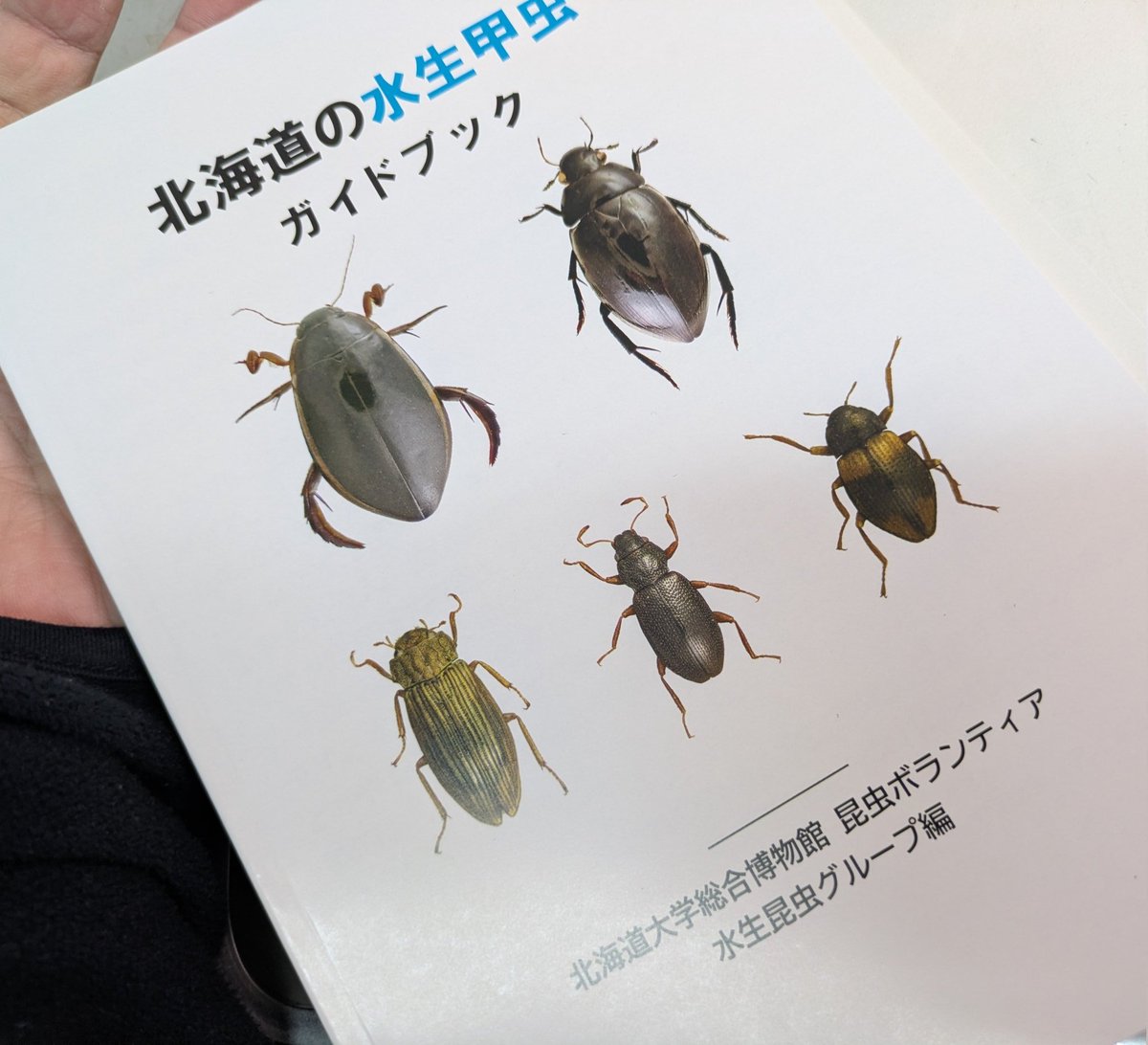 最中 (@hydroinsect) / Posts / X