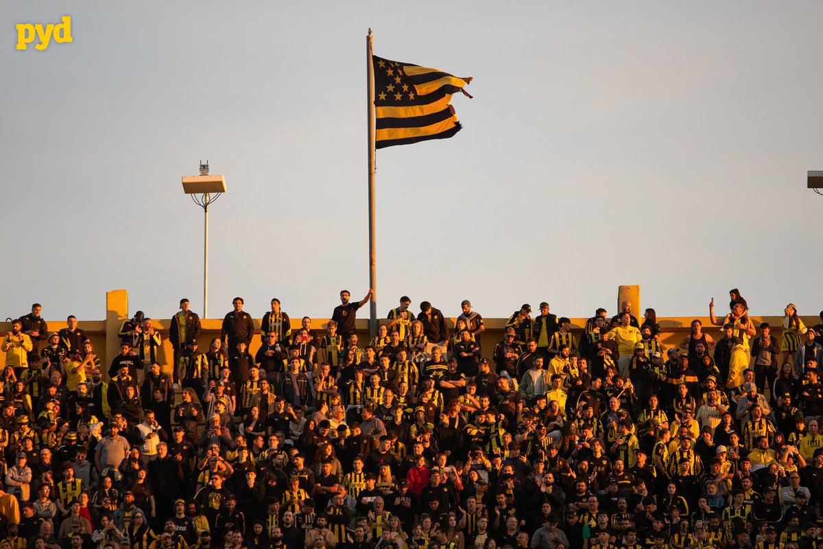 Franco Trucce tweet media