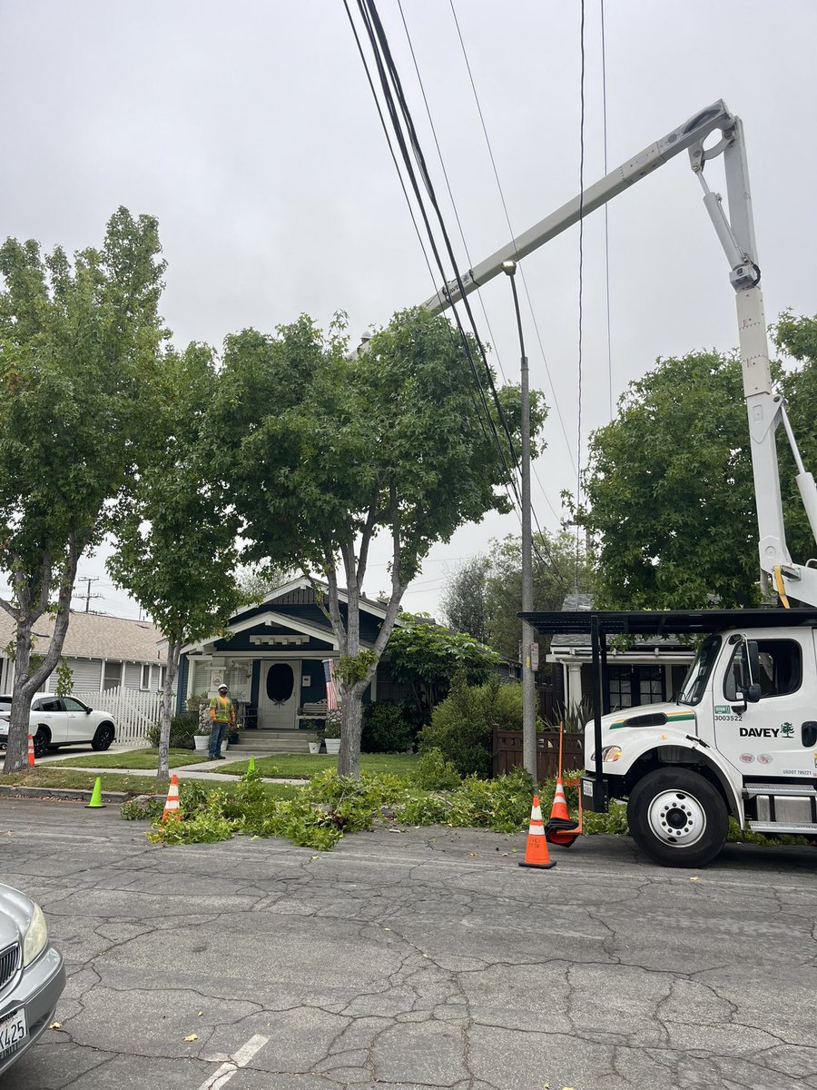 👷‍♂️ Foreman Jose Luis Garcia &amp; Trainee Cesar Cortes on the job in Long Beach — getting it done right with a full Line Clearance today. Safety, precision, and teamwork all the way. 💪🌳⚡

#LineClearance #TreeWork #UtilityLineClearance #LongBeach #SafetyFirst #Teamwork #OnTheJob