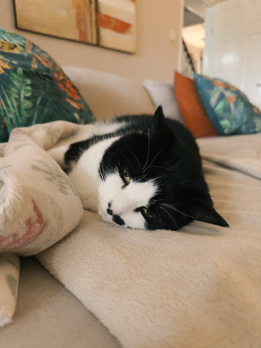 Jacob Kelly 🤘🏼 tweet media