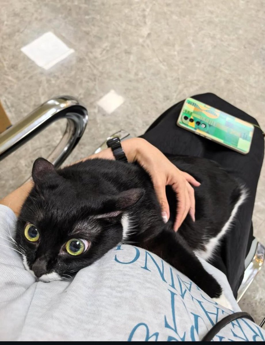 place where car shouldnt be (@carshouldnt) on Twitter photo 