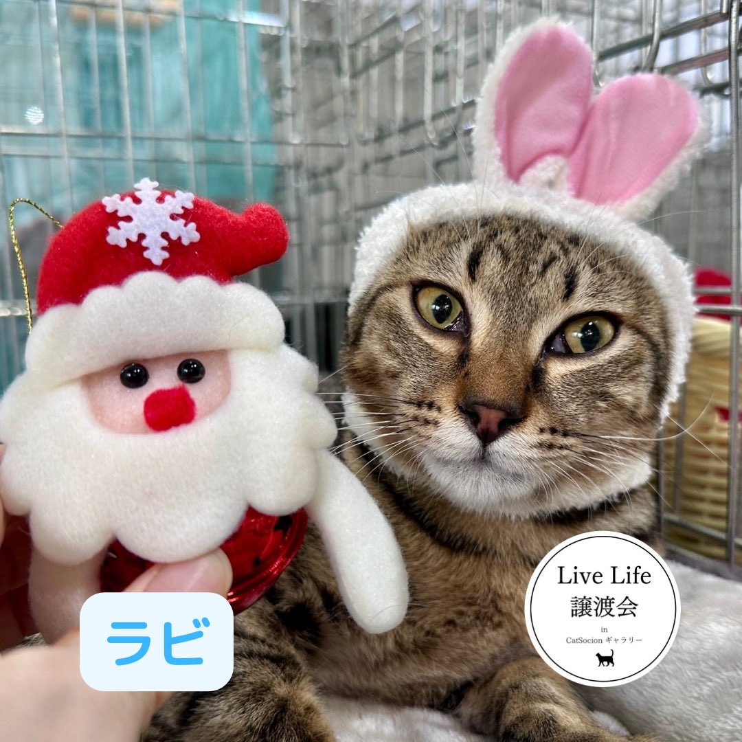 来夢 (@k2kBcTiP82T4D13) / Posts / X