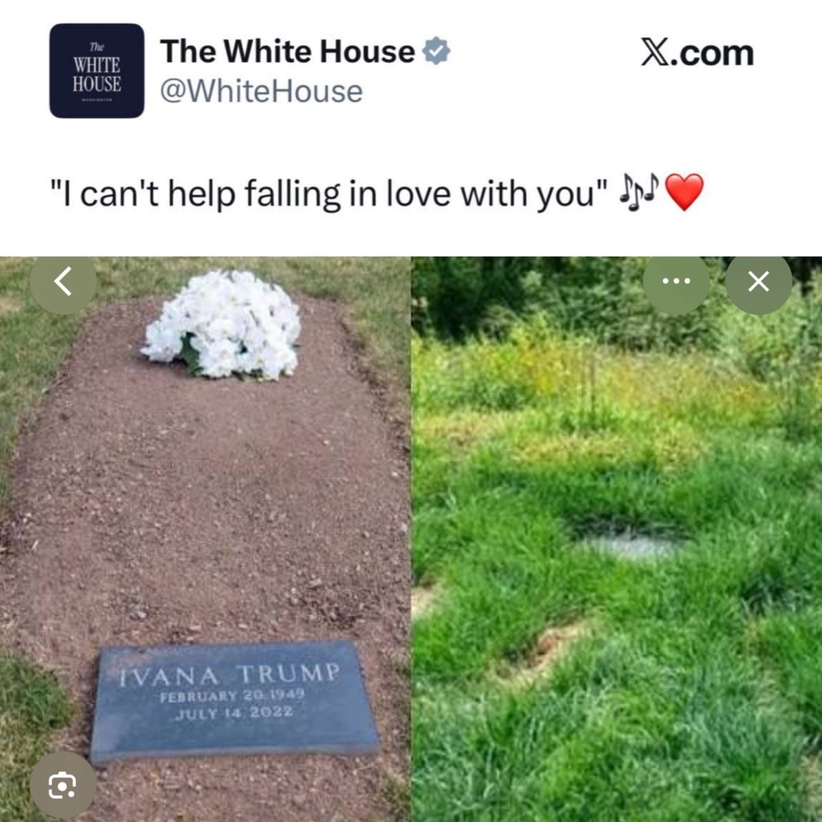 Jordan Peele Grandma Dream (@worstmanager) on Twitter photo 