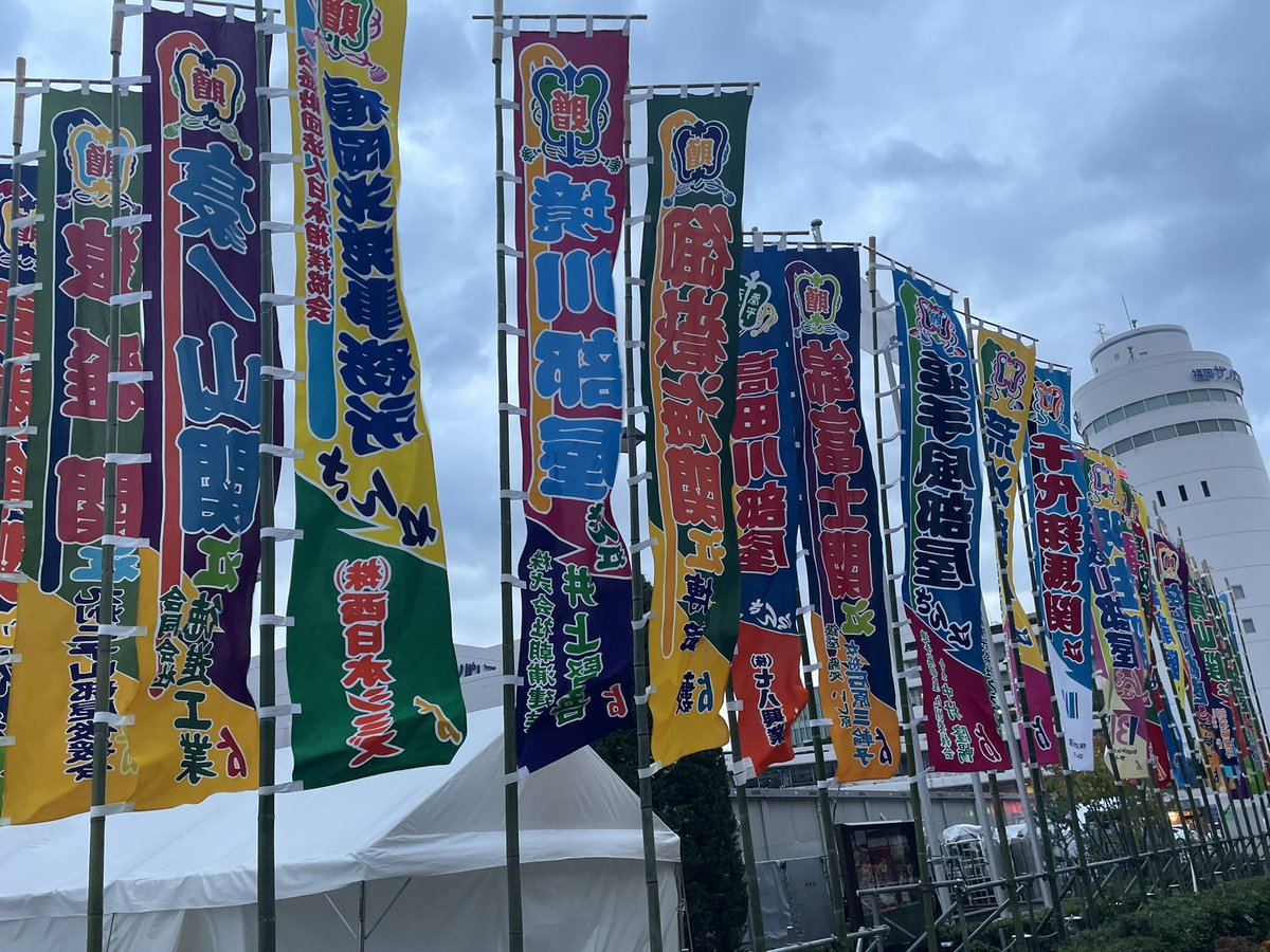 羅*い様 シャリア・ブル のぼり 羅*い様 シャリア・ブル のぼり 羅*い