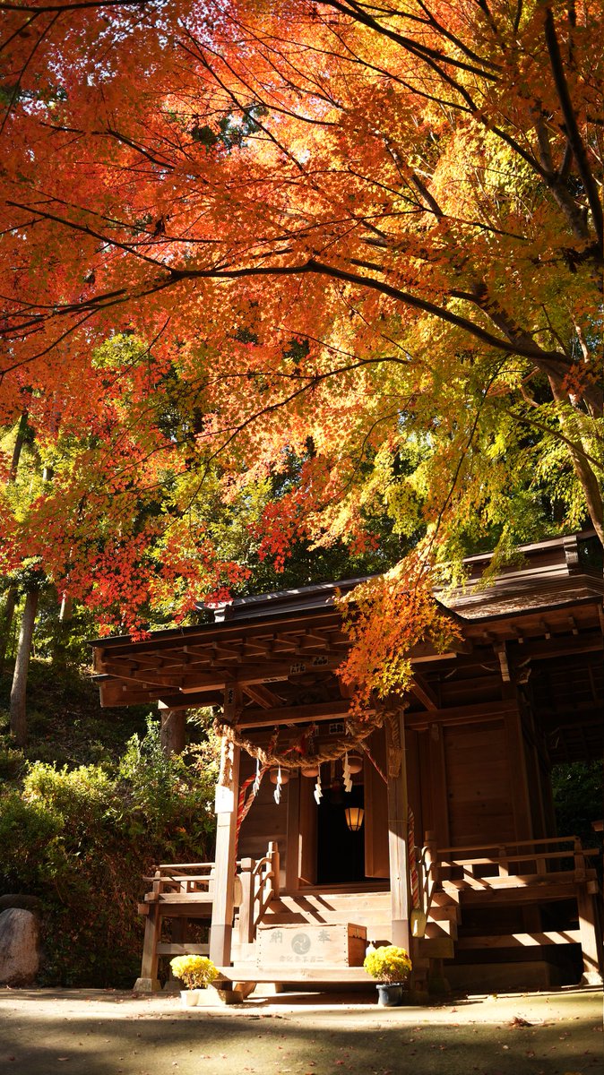 ずきお様 hqdefault.jpg