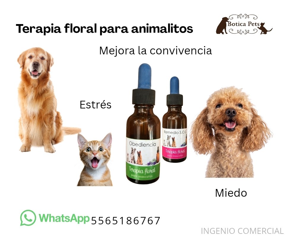 BoticaPets's tweet image. 