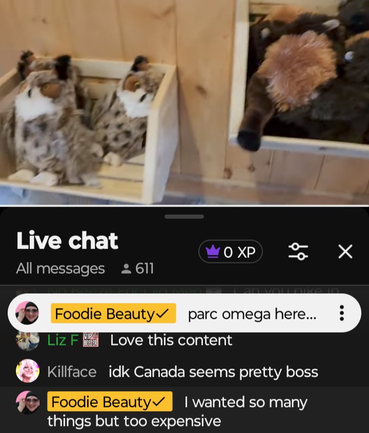 lori_kopf's tweet image. #FoodieBeauty eBegging during a #premier