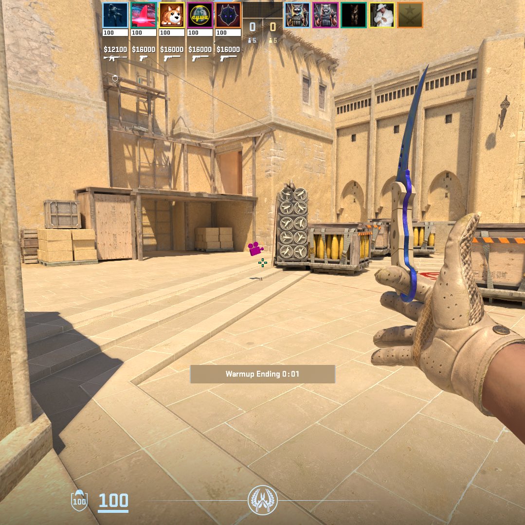 So uhhh… why is there a camera in my Premier warmup ?