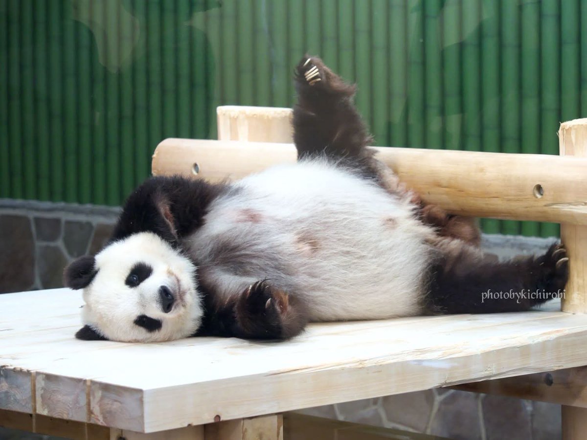 たんたんさん。ご確認お願いします Amazon.co.jp: おしごとスタンプ