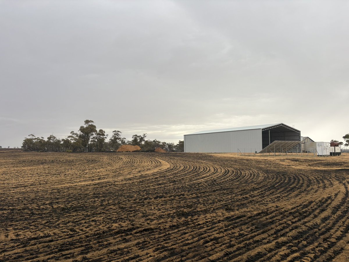 Dylan Hirsch tweet media