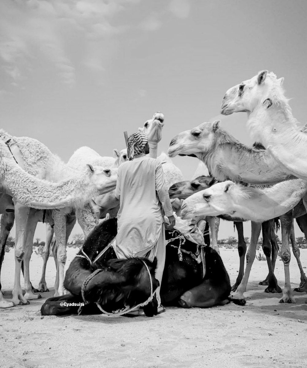 ترا في الظنون وفي المعاتب مكاسر طيب 
و والاخلاق  فيها مرحله  تدخِل الجنه 

اذا غبت عنك فظن في بـ ظن الطيب 
ما ابيك الرفيق  اللي من  ظنونه احنه

تنق الظنون اللي مثل ماتصيب تخيب
ترا فيه  ناس تميز  الشخص من ظنه