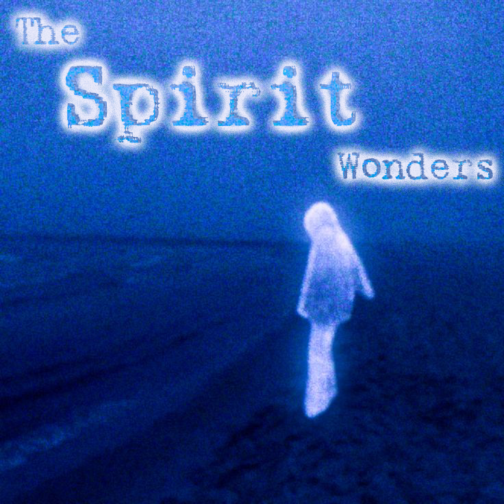 Network Spirits tweet media