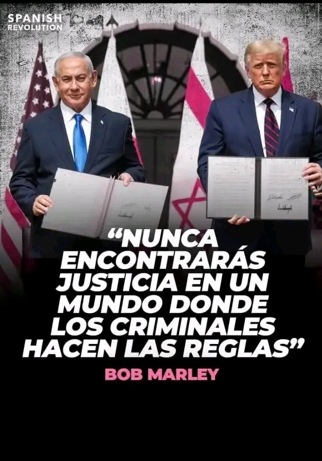 AngelaLeyv32244's tweet image. #TrumpisaNationalDisgrace 
#NetanyahuWarCriminal