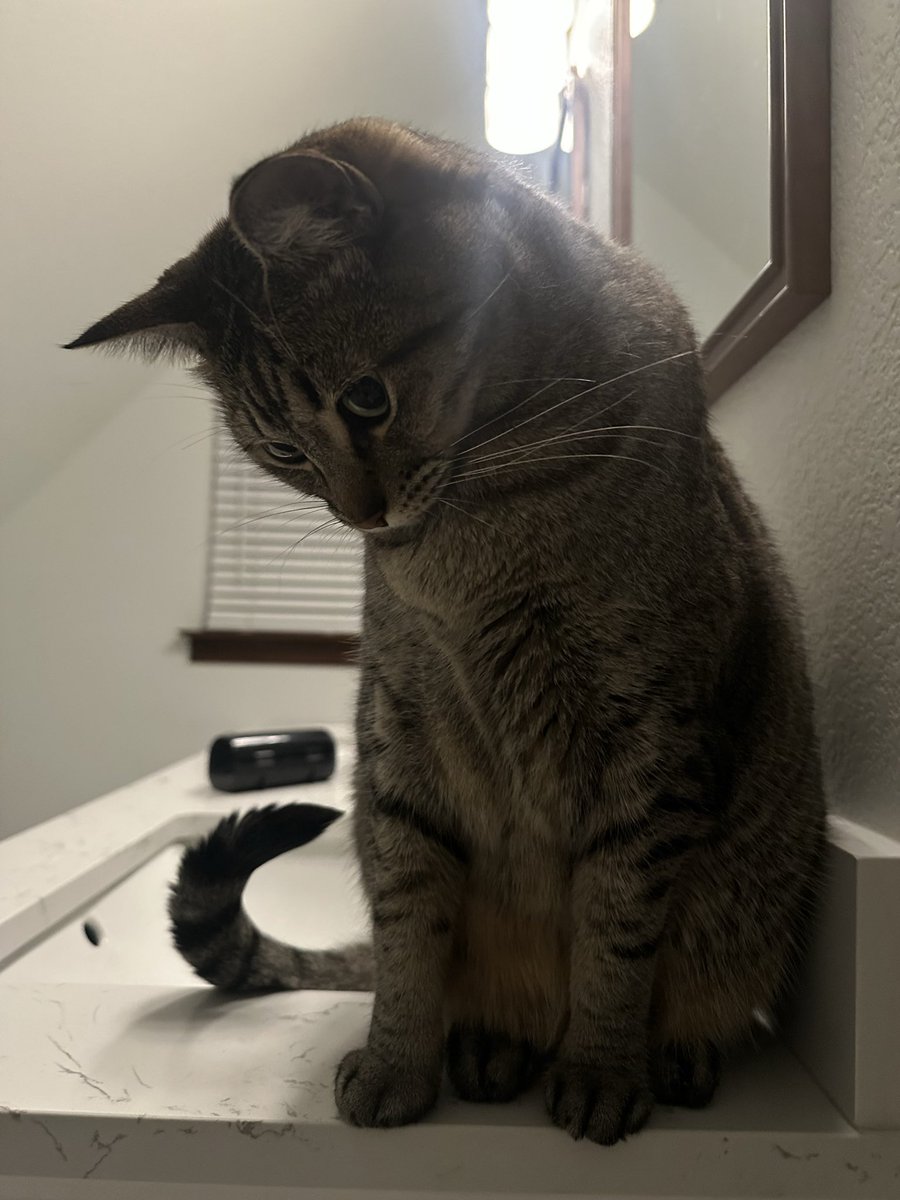 sprootstoots's tweet image. She feels shame and guilt, and she should