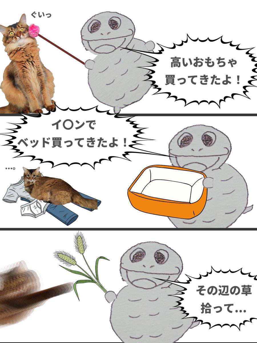 AsshukuZ's tweet photo. ﾈｺﾁｬｧﾝ https://t.co/tkA6oVxMTi