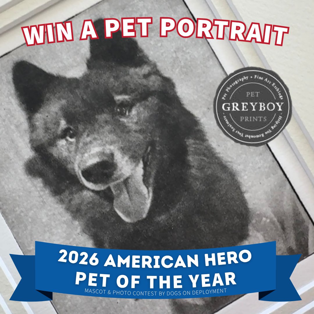 Dogs on Deployment tweet media