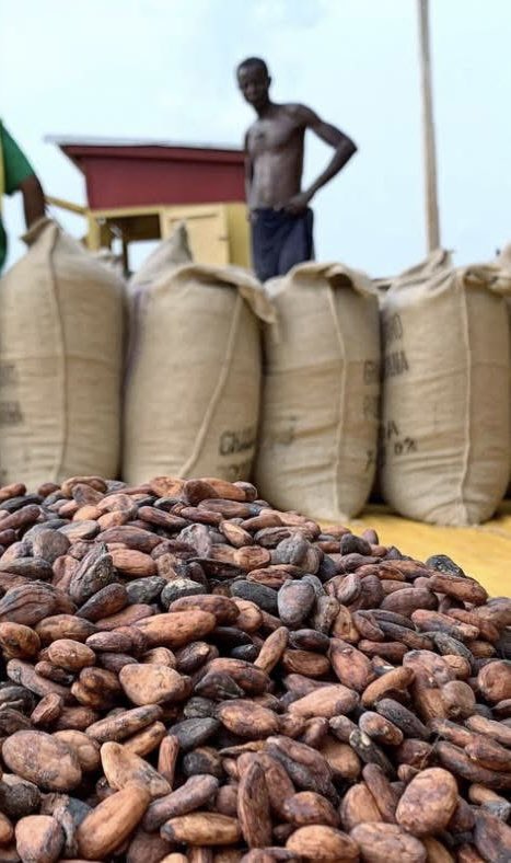 gist_gha's tweet image. JUST IN: COCOBOD reports that Ghana lost 7,128 tonnes of cocoa to smuggling in the Volta and Oti regions between 2020 and 2025. Director of Special Services, Jake Kudjo Samahar, says the figures highlight the persistent challenge of cocoa smuggling.