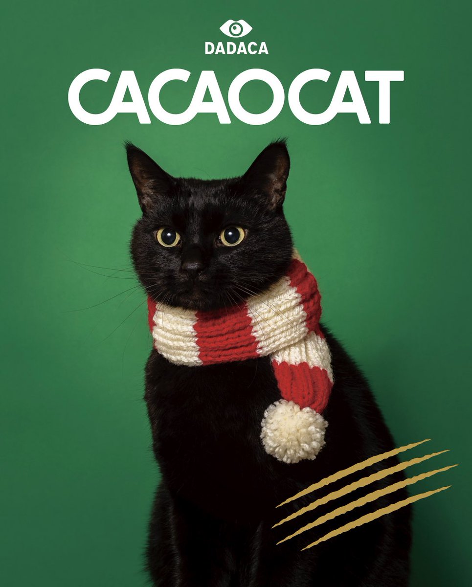 こっこ (@cocco3673) / Posts / X