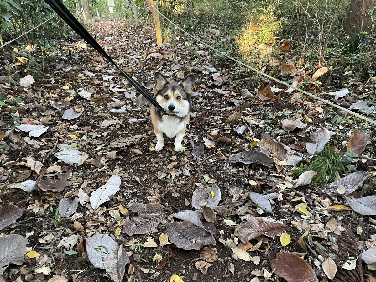 おはようどうした