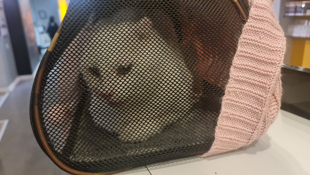 Very bussy night at the hospital....so many sick pets. We have been checked in and evaluated by the tech. Waiting to hear from Samsons Dr. They are getting ready to draw blood. They are going to put him in a kennel so they can observe what his actions are. They told me to go home