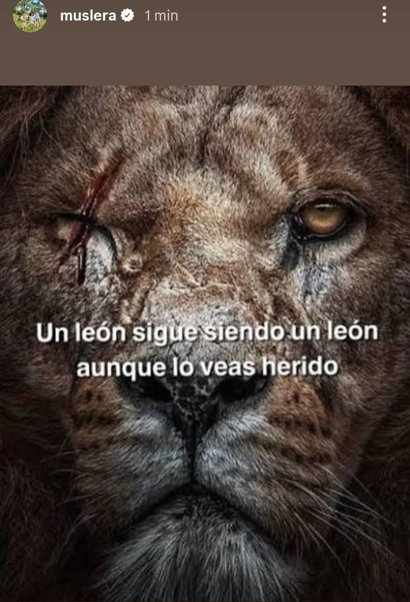 Juannrobledoo's tweet photo. #EDLP "Un león sigue siendo un león aunque lo veas herido"

Fernando Muslera en su historia de Instagram. https://t.co/8QjC4fKt9O