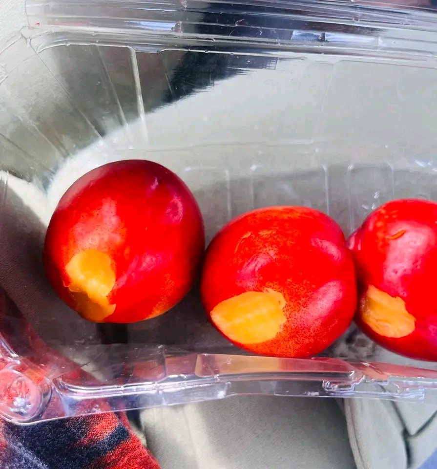 ManqobaMbuli_'s tweet image. I would like to thank the @SAPoliceService for their swift actions against a criminal who haa been on the run all her life. 🔥🔥🔥