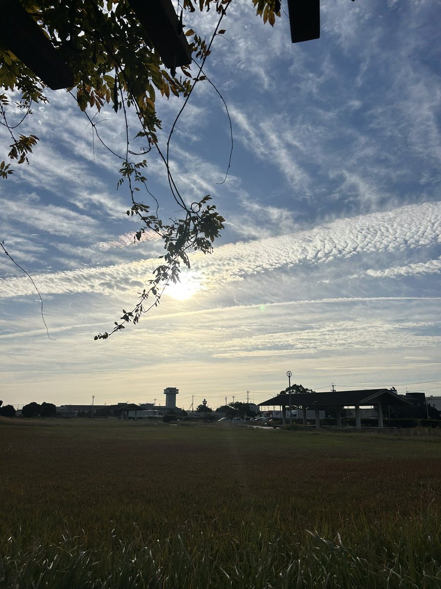 netrunner_toc's tweet image. 誇れ！日本　桜詩（さくらうた）－ 花筏に舞う命の調べ －　ご視聴様、制作リクエスト楽曲　The Harmony of Sakura Poetry... youtu.be/KQvPkXfs4pQ?si… @YouTubeより