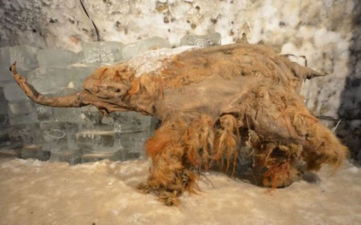 Post by U.C.T on X: ほう👀