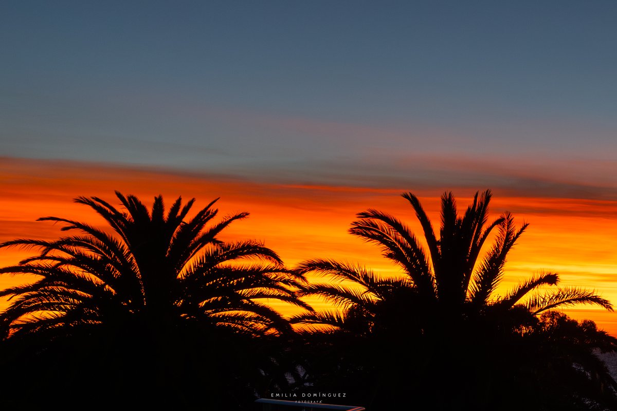 emiliadcph's tweet photo. El cielo, hoy al atardecer. Una maravilla.
El fondo parece una llama de fuego. 
#piriápolis https://t.co/NgVjErTvCM