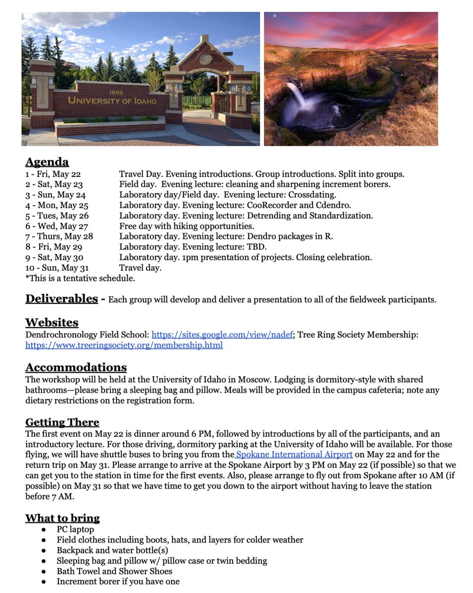 Dr. Maegen Rochner tweet media