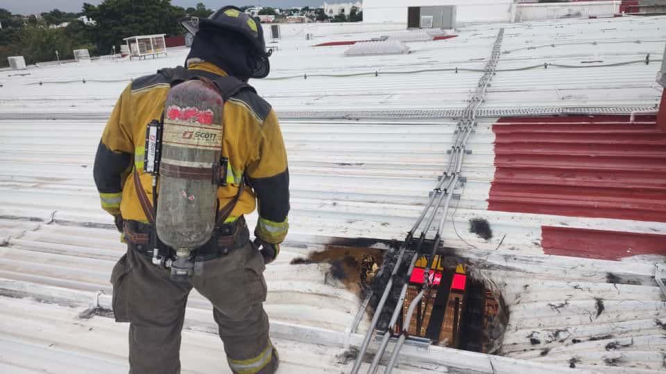 Ana Patricia Peralta tweet media