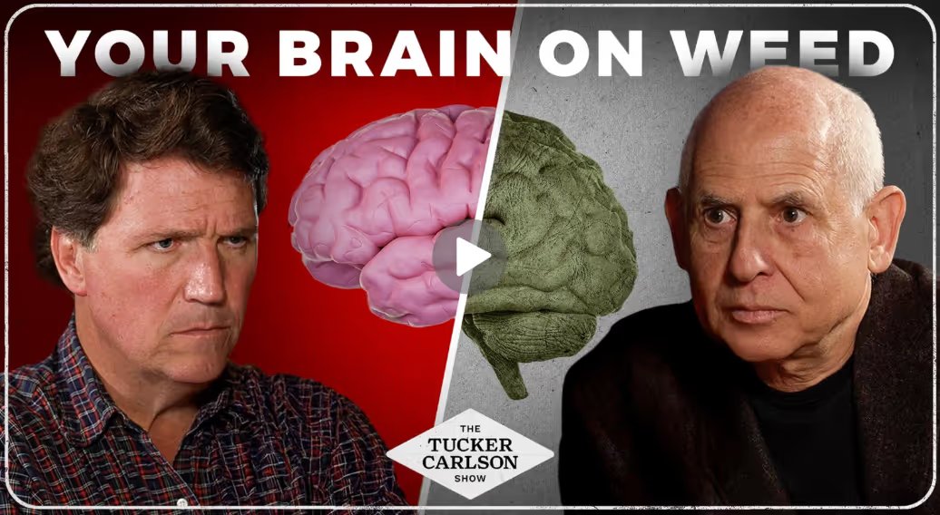 TonySeruga's tweet image. Stay off the weed

What Does Marijuana Do to the Brain?

Most young people think marijuana is a harmless drug. But it’s not. A recent study found that weed lowers blood flow in every single area of the brain. 

Once you understand how destructive this is, it’s hard not to see the…