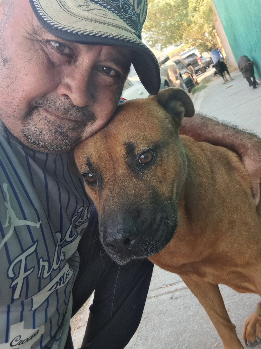 Mañana Dios proveerá