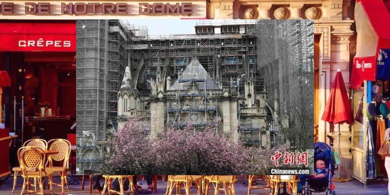 DAYZ405's tweet image. 🦣Doctors visit, concerns share. I've been feeling...🪕Chefs buy, restaurants serve. Yummy.🏌