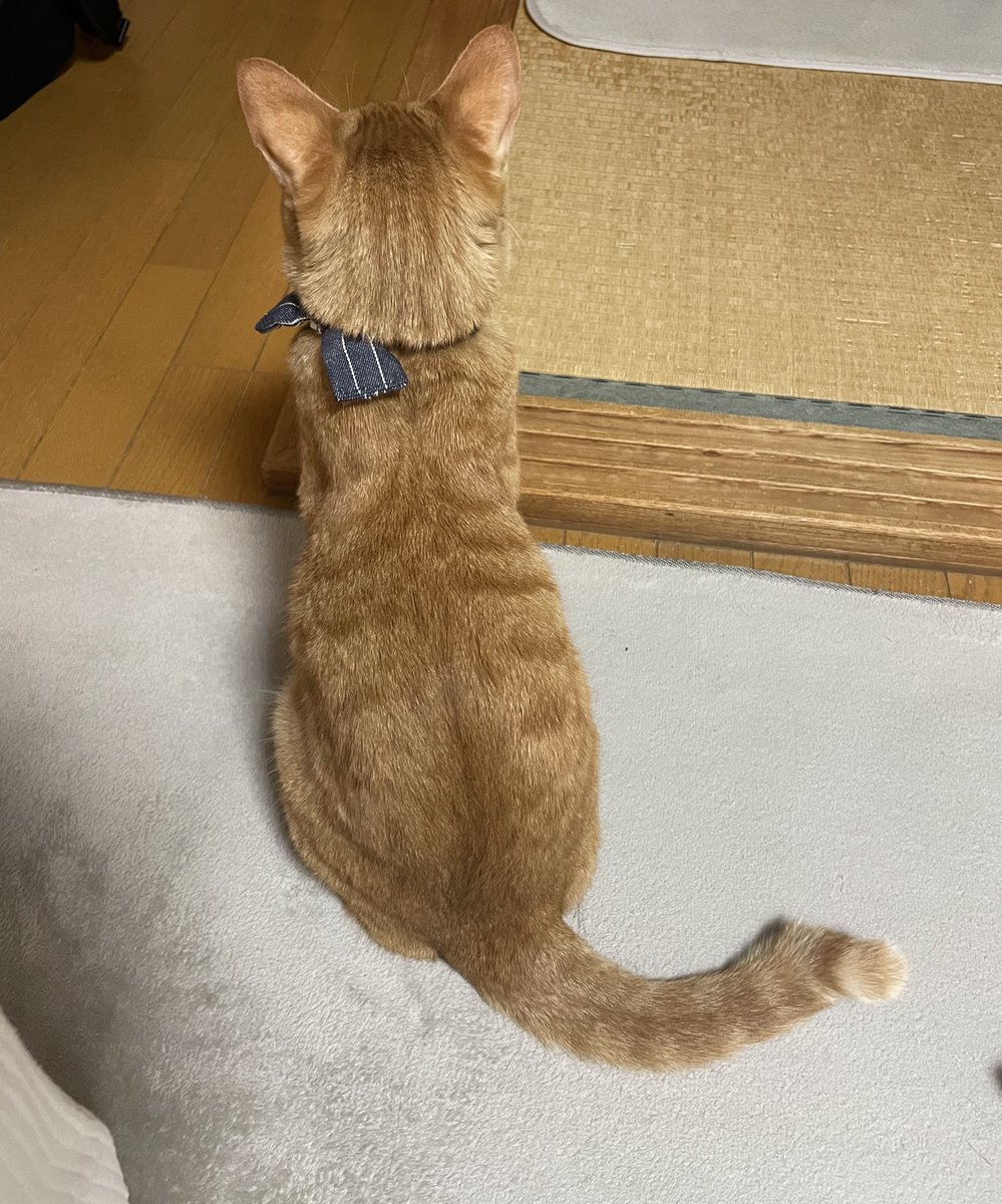 来夢 (@k2kBcTiP82T4D13) / Posts / X