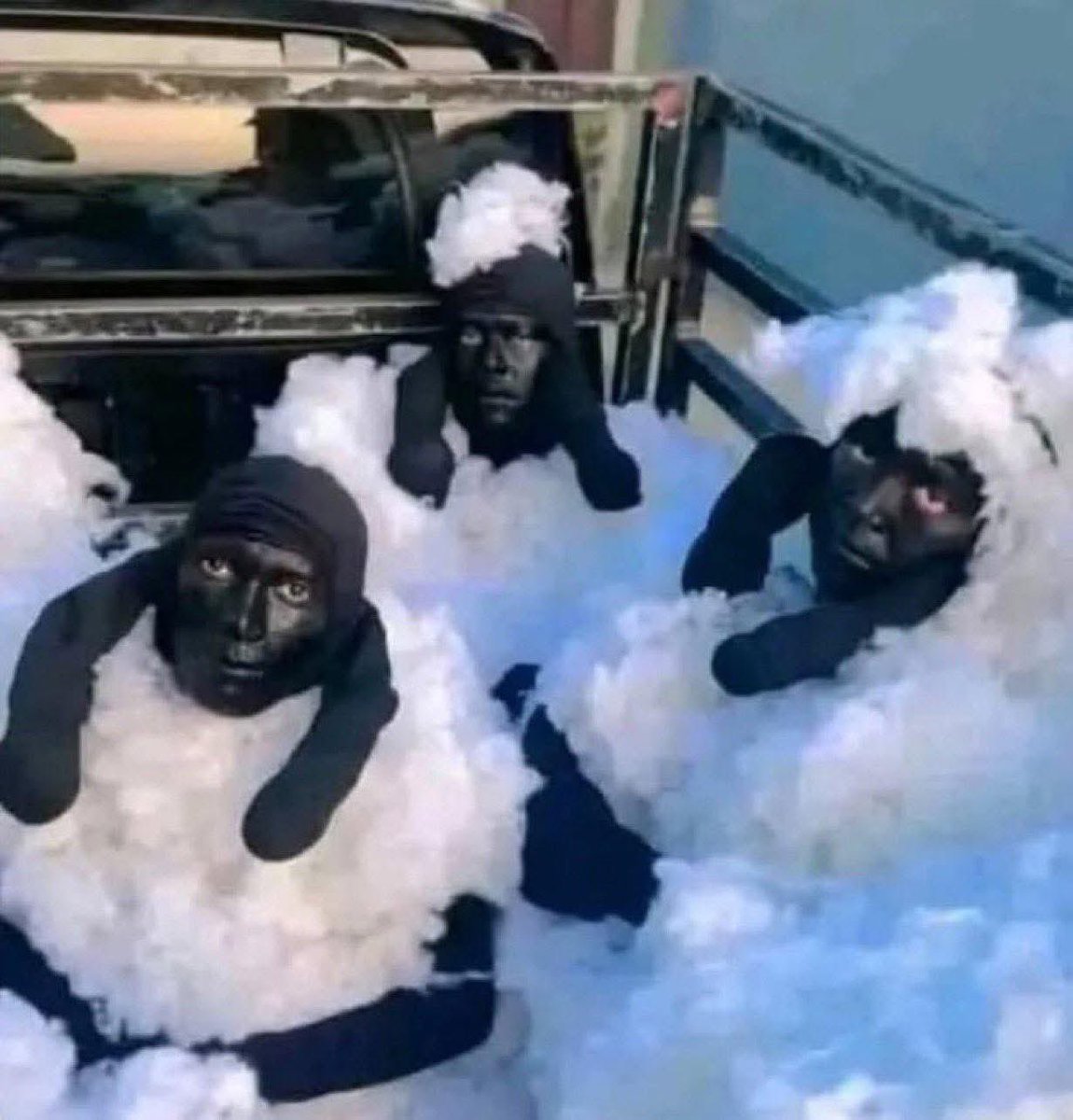 gist_gha's tweet image. Algerian authorities have arrested three unidentified individuals who attempted to cross into Spain disguised as sheep. Authorities say the bizarre attempt was stopped before they could leave the country.