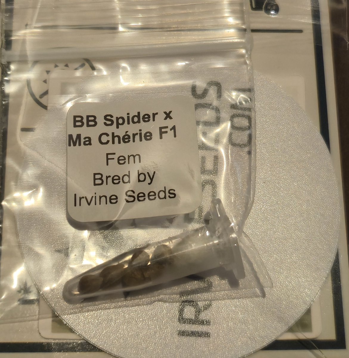 kclightup's tweet image. My @irvineseedco and @breeder_j 🔥 🫘 landed today!!! 
#growyourown #fuckcancer #GetScreened