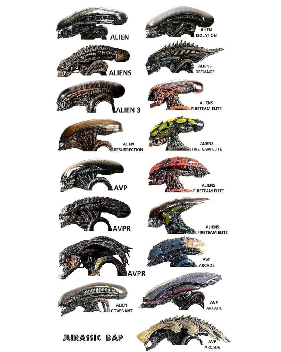 AvPOdysseyDB's tweet photo. Know your Xenomorphs

(Credit: Jurassic Bap) https://t.co/1M9UtOm5Zm