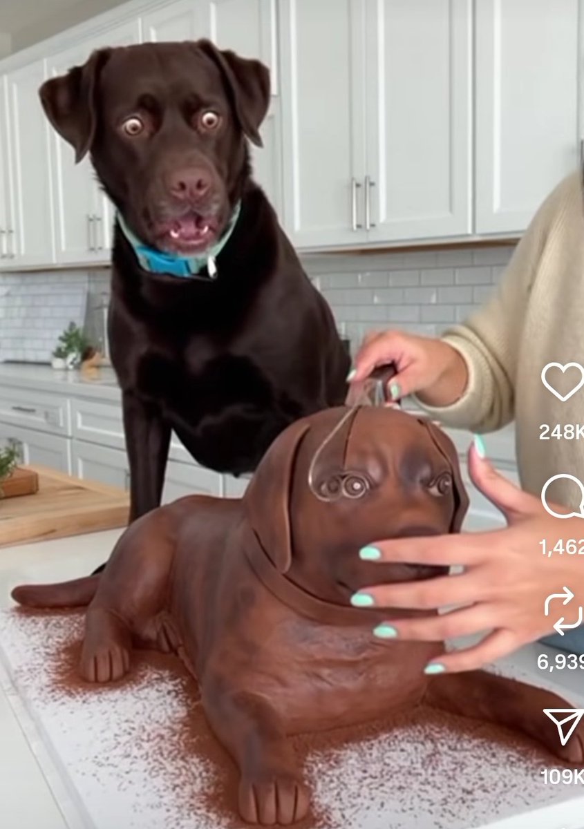 Oliver Traldi tweet media