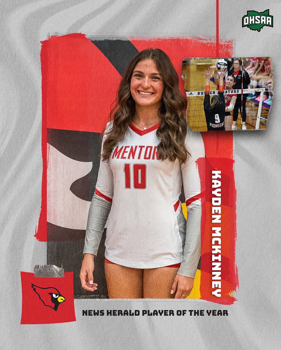 Mentor Volleyball tweet media