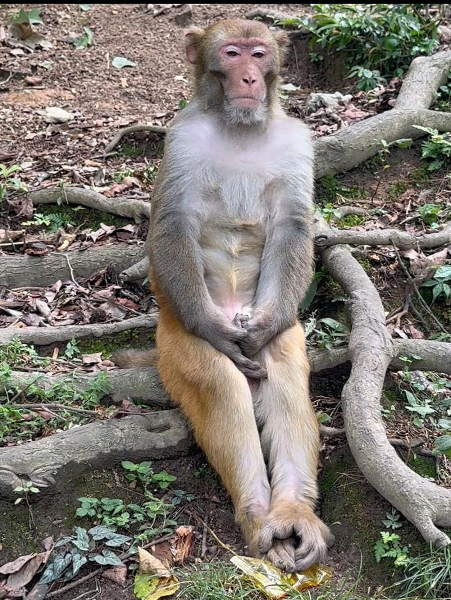 nyse_min's tweet image. 신입 위해 한마디 거들자면

신입은 &apos;결과물&apos;이 아닌 &apos;일하는 태도&apos;로 평가받거든. 그러니 그냥 디폴트값이라고 생각하고 3가지 명심해

1. 인사 잘하기 &amp;amp; 눈 마주치면서 하기
-&amp;gt;그냥 모르면 아무나 보고 다 인사해 (청소원이든 경비원이든 그냥 해)
내가 아나 모르나가 중요한게 아니라 그냥 인사만…