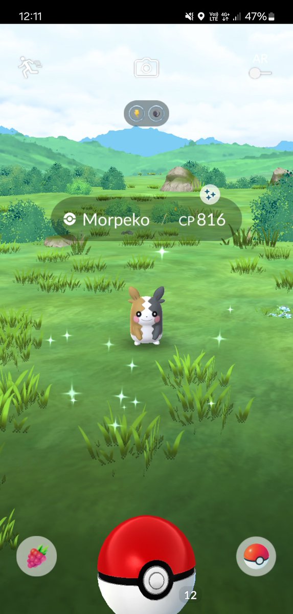 AKiwiIsNotAFruit tweet media