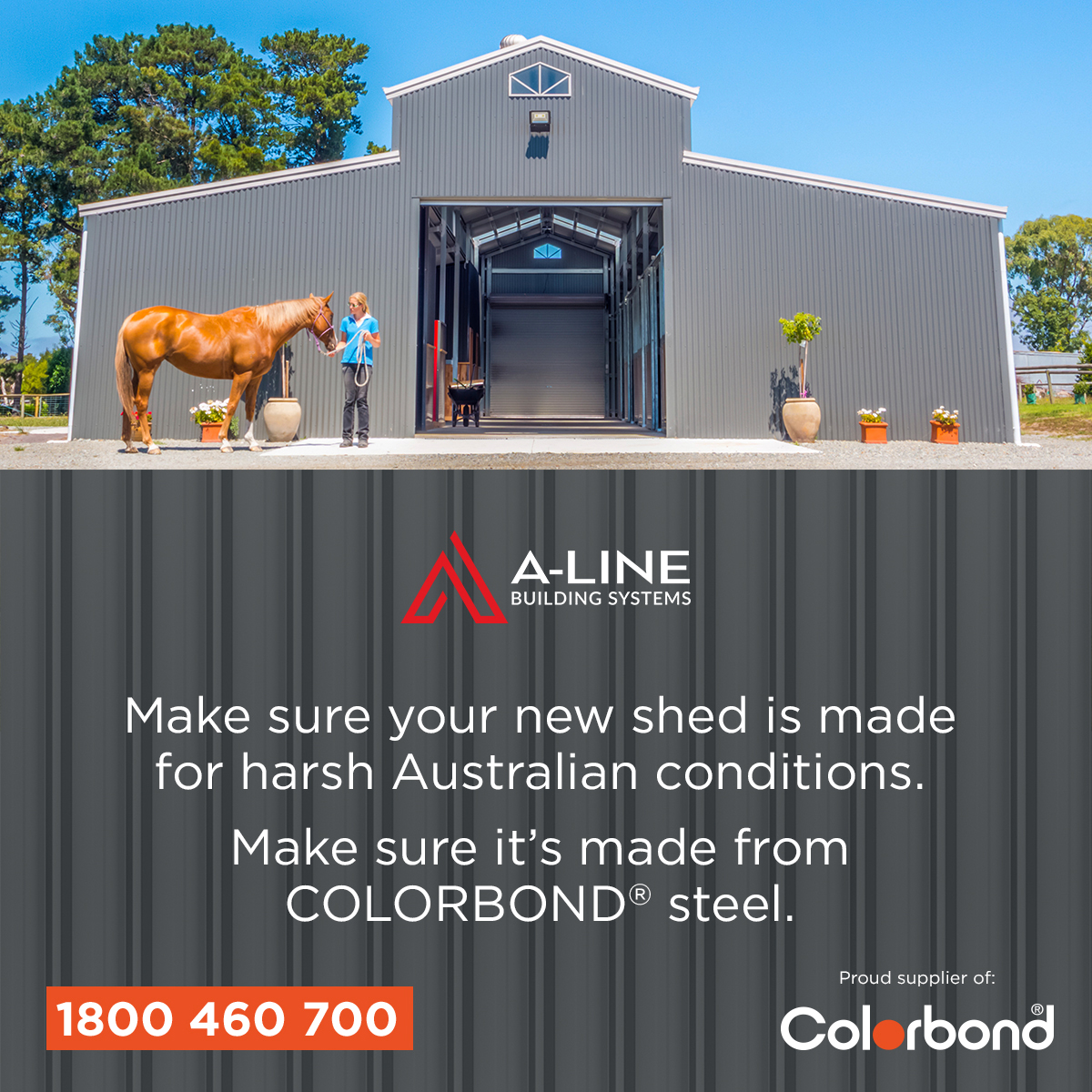 A-Line Building Systems tweet media